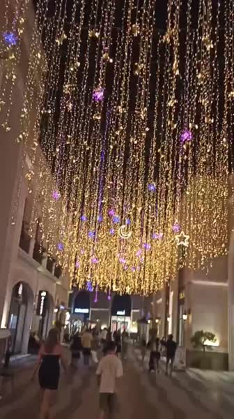 видео из отзыва ID 2687726