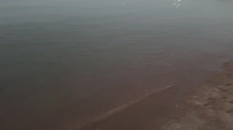 видео из отзыва ID 2687943