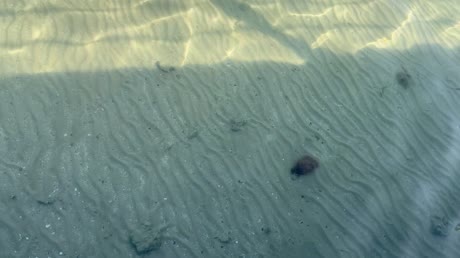 видео из отзыва ID 2687946