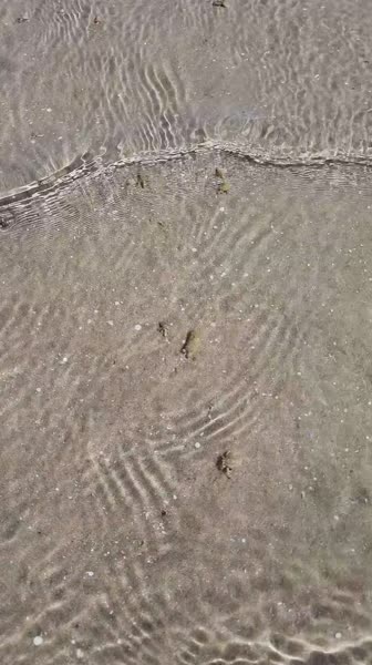 видео из отзыва ID 2688234