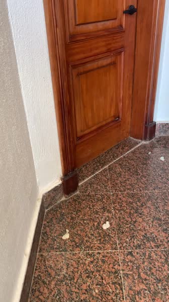 видео из отзыва ID 2688278