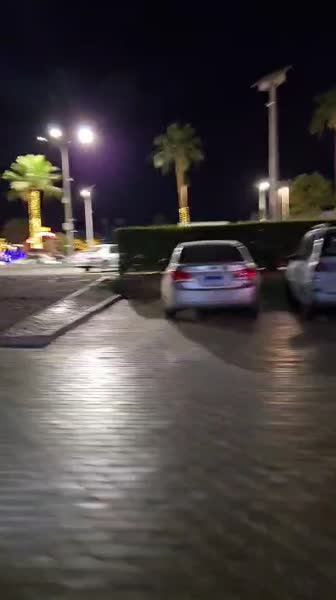 видео из отзыва ID 2688415