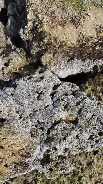 видео из отзыва ID 2688990