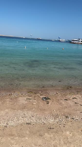 Видео из отеля ZYA Regina Resort & Aqua Park Hurghada 4*