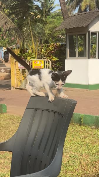 видео из отзыва ID 2689383