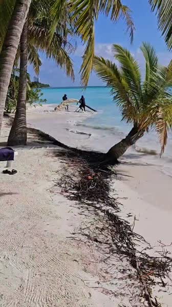 видео из отзыва ID 2689250