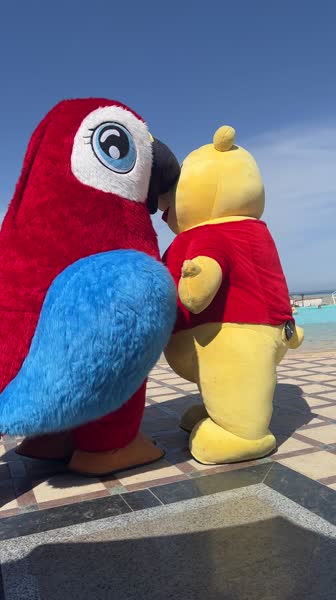 Hotel videos Gravity Hotel & Aquapark Sahl Hasheesh 5*