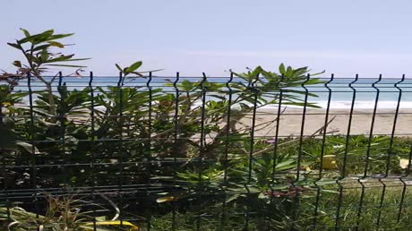 Hotel videos MС Beach Resort Hotel 5*
