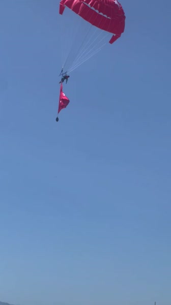 видео из отзыва ID 2691269