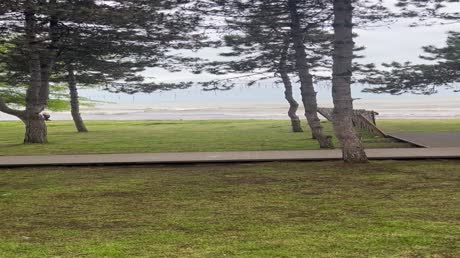 видео из отзыва ID 2691850