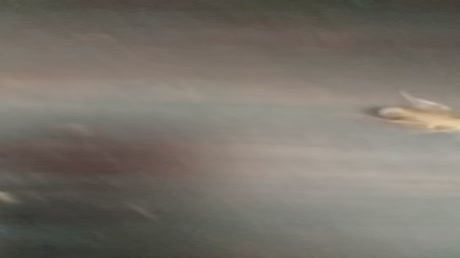 видео из отзыва ID 2692267