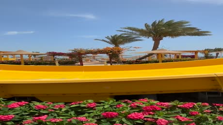 Видео из отеля El Karma Beach Resort & Aqua Park 5*
