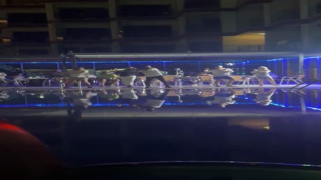 видео из отзыва ID 2692622