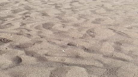 видео из отзыва ID 2692666