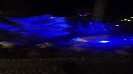 видео из отзыва ID 2692696