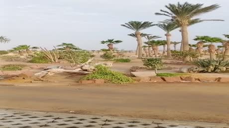 видео из отзыва ID 2692696