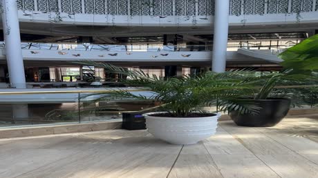 видео из отзыва ID 2693367