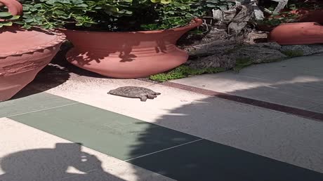 видео из отзыва ID 2693394