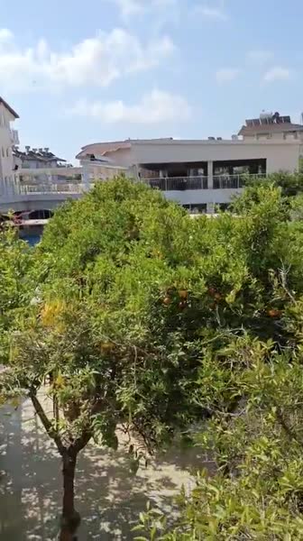 Hotel videos Catty Cats Garden 3*