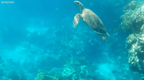 видео из отзыва ID 2694341