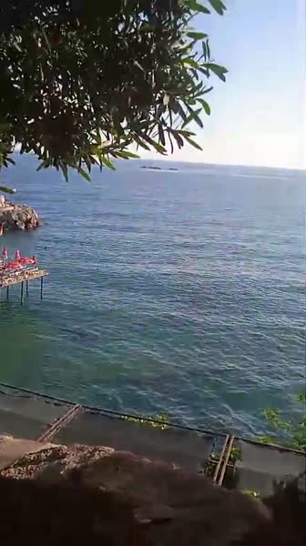 видео из отзыва ID 2694362