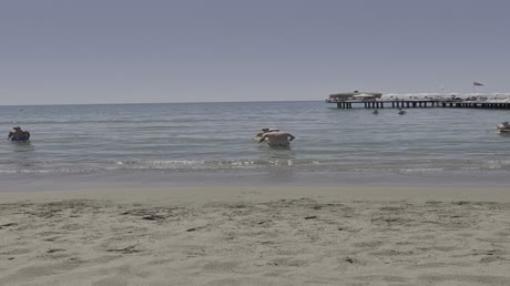 видео из отзыва ID 2694560