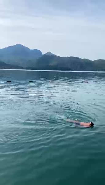 видео из отзыва ID 2695248