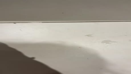 видео из отзыва ID 2687293
