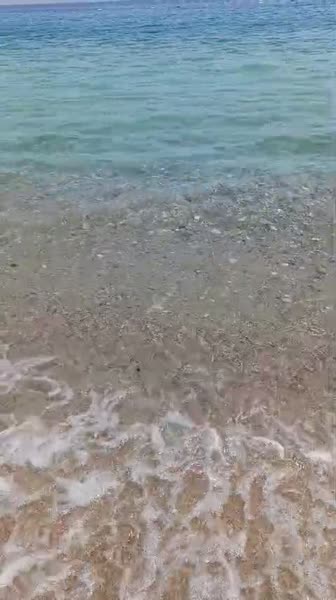 видео из отзыва ID 2695437