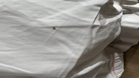 видео из отзыва ID 2695633