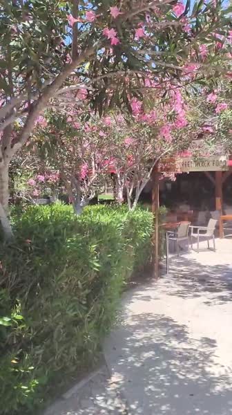 Hotel videos Asteria Family Resort Belek 5*