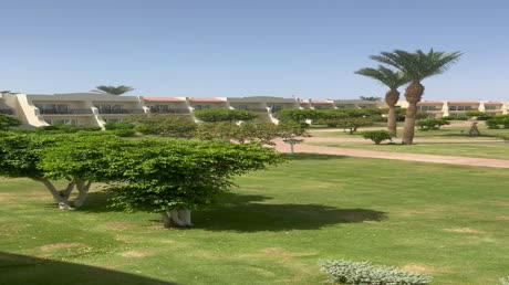 Hotel videos DoubleTree by Hilton Sharks Bay Resort 4*