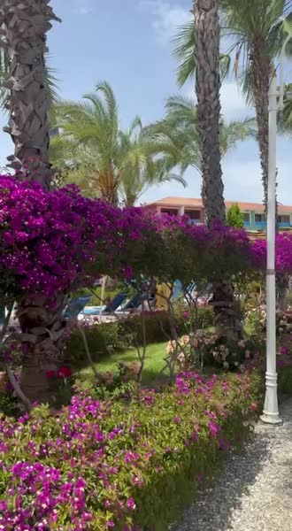 видео из отзыва ID 2696437