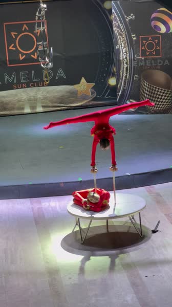 видео из отзыва ID 2696665