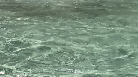 видео из отзыва ID 2697000