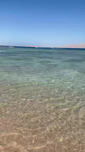 видео из отзыва ID 2697509