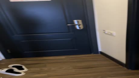 видео из отзыва ID 2697848
