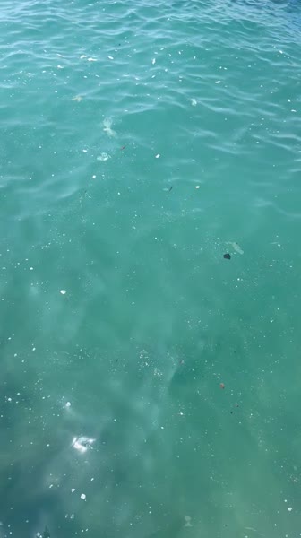 видео из отзыва ID 2697932