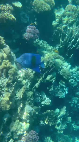 видео из отзыва ID 2698023