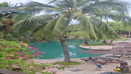 видео из отзыва ID 2698719