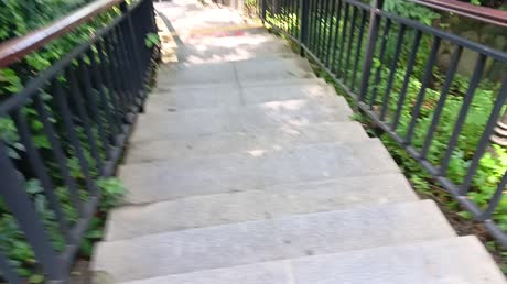 видео из отзыва ID 2698723