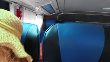 видео из отзыва ID 2698723
