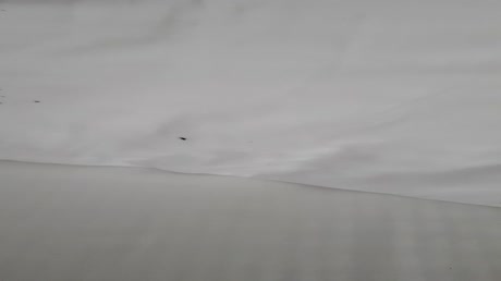 видео из отзыва ID 2698951
