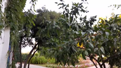 видео из отзыва ID 2696351