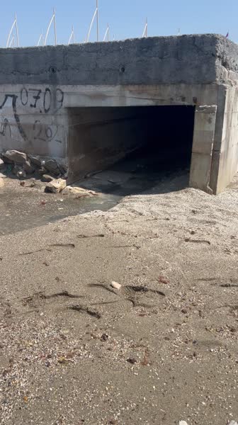 видео из отзыва ID 2699479