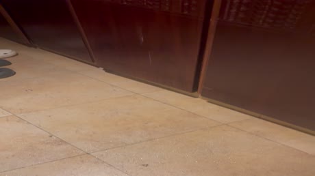 видео из отзыва ID 2699501