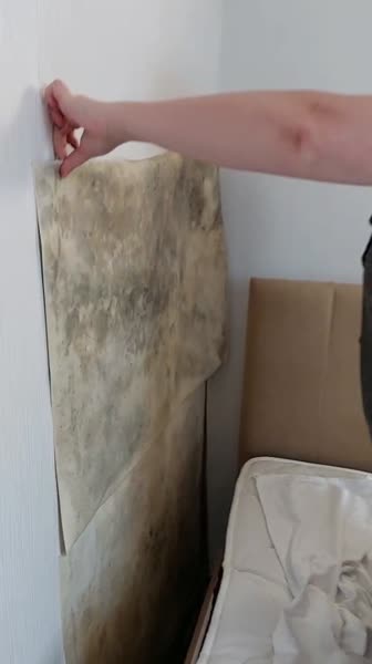 видео из отзыва ID 2699685