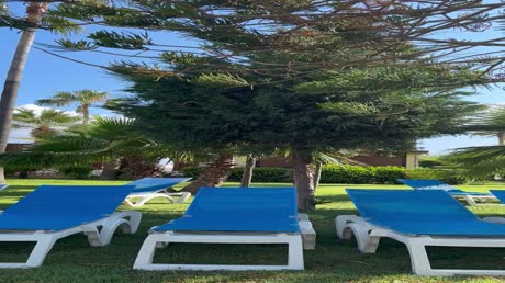 видео из отзыва ID 2699973