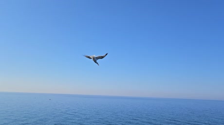 видео из отзыва ID 2699947