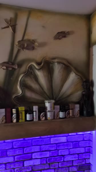 видео из отзыва ID 2699947